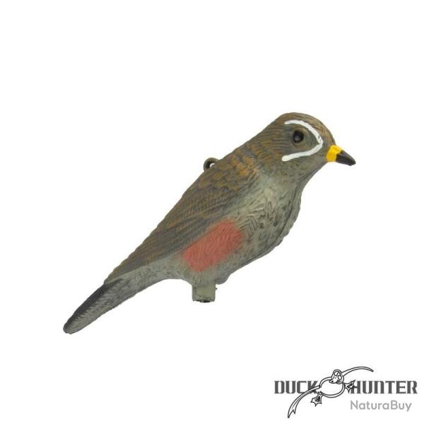 Forme de grive mauvis