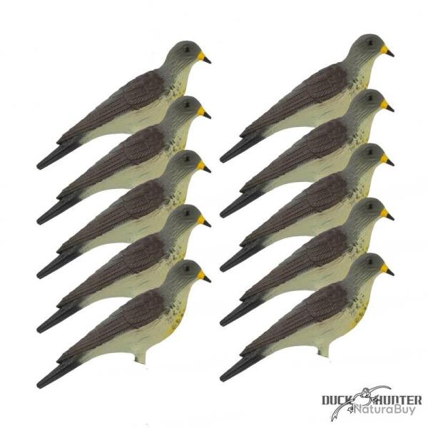 Forme de grive litorne x10