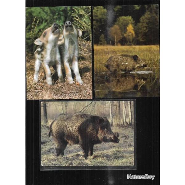 sangliers , marcassins lot de 6 cartes