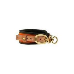 Collier Chien de Sang Orange Fluo XS 30-40 cm ALU