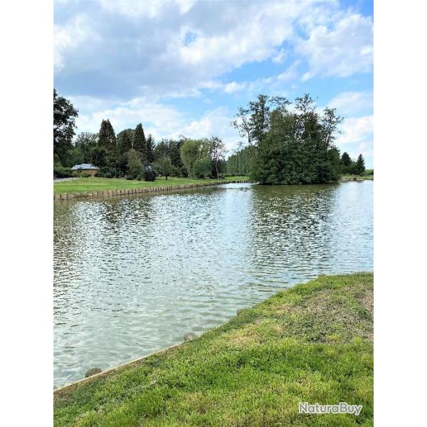 SUPERBE PROPRIETE DANS L'AVESNOIS CHALET PECHE DETENTE LANDRECIES MAUBEUGE MAROILLES (NORD 59)