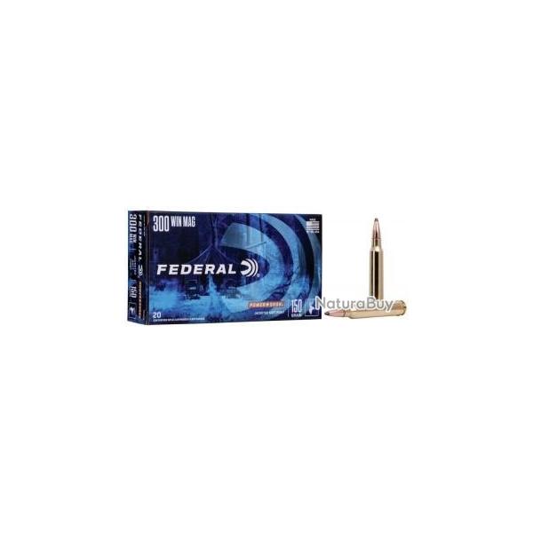 MUNITIONS FEDERAL AMUNITIONS CAL.30-06 POWER SHOCK SOFT POINT 220GR par 60