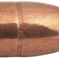 45-70 gouvernement / 300 gr, 458