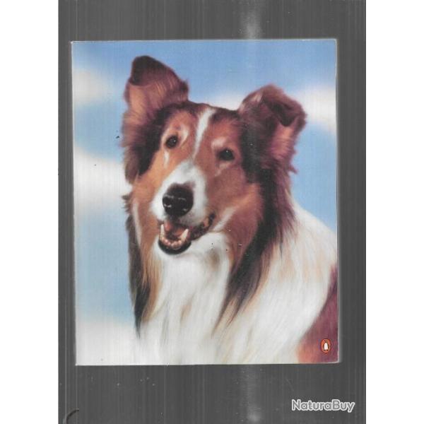 lassie:a dog's life , the first fifty years d'ace collins , colley , lassie chien fid�le