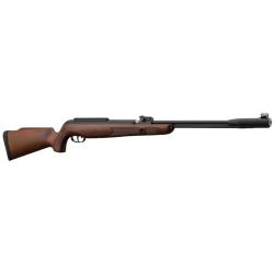 GAMO CFX ROYAL &agrave; canon fixe - 19,9J
