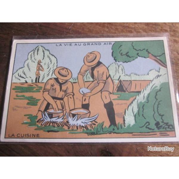 CP  la vie au grand air