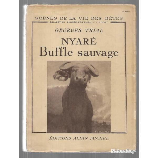 nyar� buffle sauvage de georges trial , (�tude et sc�nes de chasse)