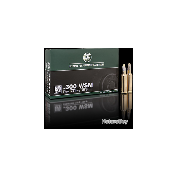 Lot de 2 boites de munitions RWS .300 WSM EVO 11.9G