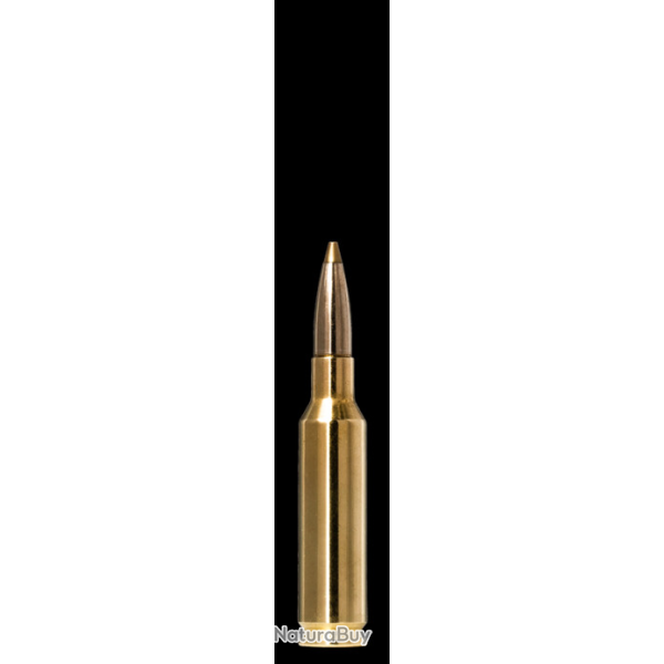 Lot de 2 boites de munitions Norma EVOSTRIKE 6,5 Creedmoor 6g