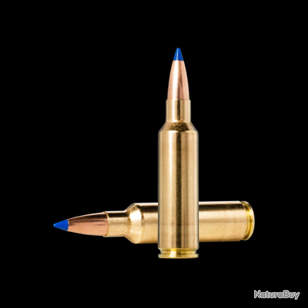 Lot de 2 boites de munitions Norma Bondstrike Extreme .300 Winchester Short Magnum 11.7g