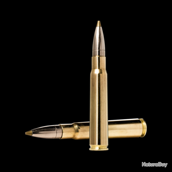 Lot de 2 boites de munitions Norma EVOSTRIKE 8x57 JS 9g