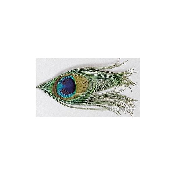 OEIL DE PAON NATUREL