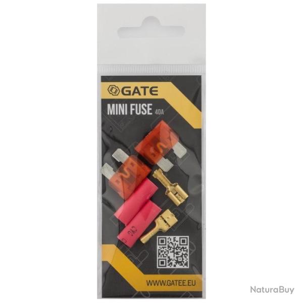 Lot de 2 mini fusibles - GATE