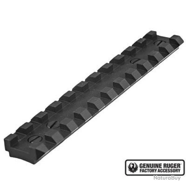 Rail Picatinny Ruger 10/22