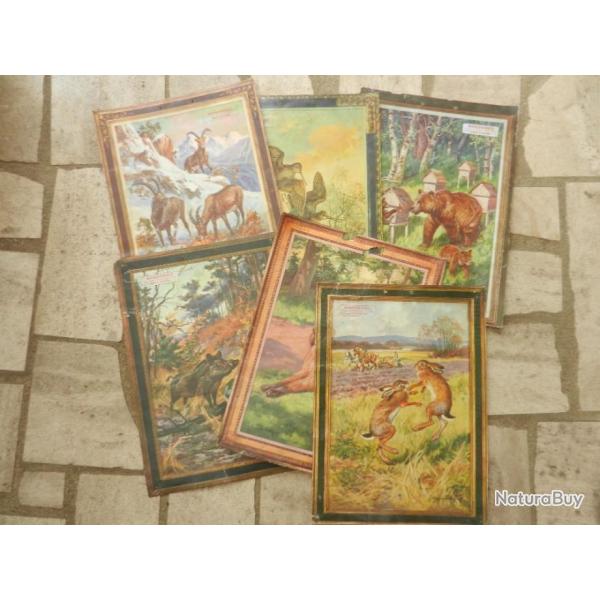 lot d'images calendriers Manufrance Saint Etienne.