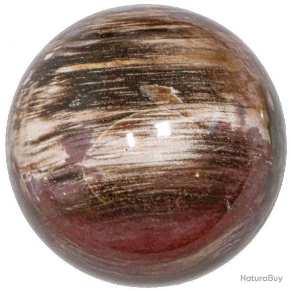 Sph�re de bois fossile - 80 mm - 710 grammes