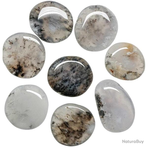 Galet plat agate dendritique - A l'unit�