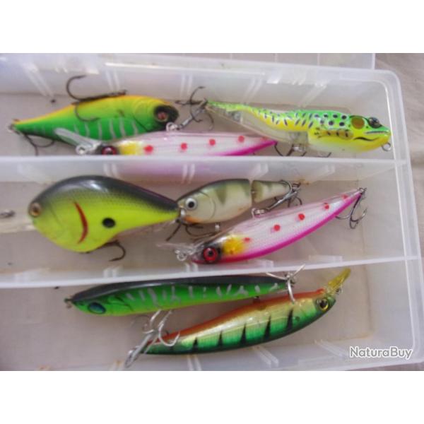 ensemble de leurres carnassiers