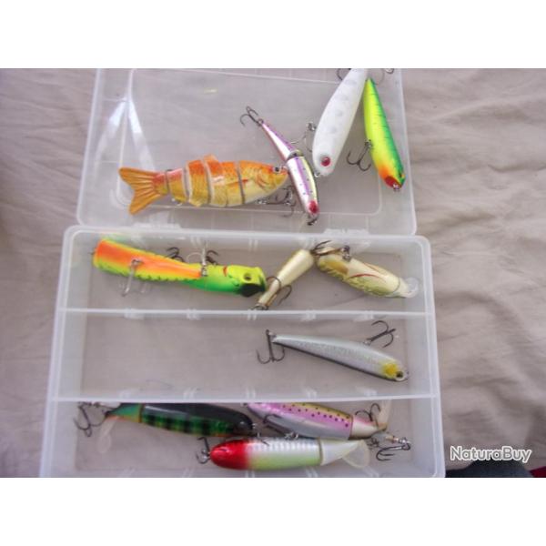 ensemble de leurres pour p�che carnassiers