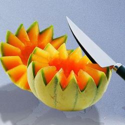 DENTELEUR DECOR MELON ET FRUIT