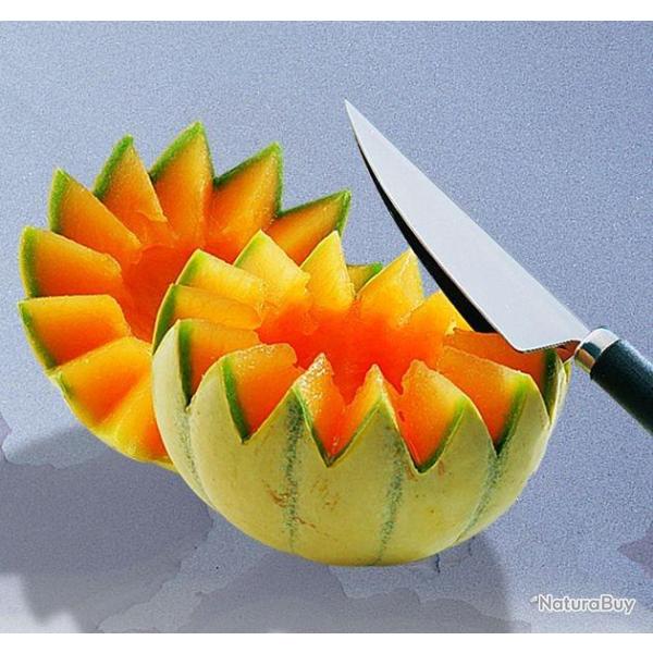 DENTELEUR DECOR MELON ET FRUIT