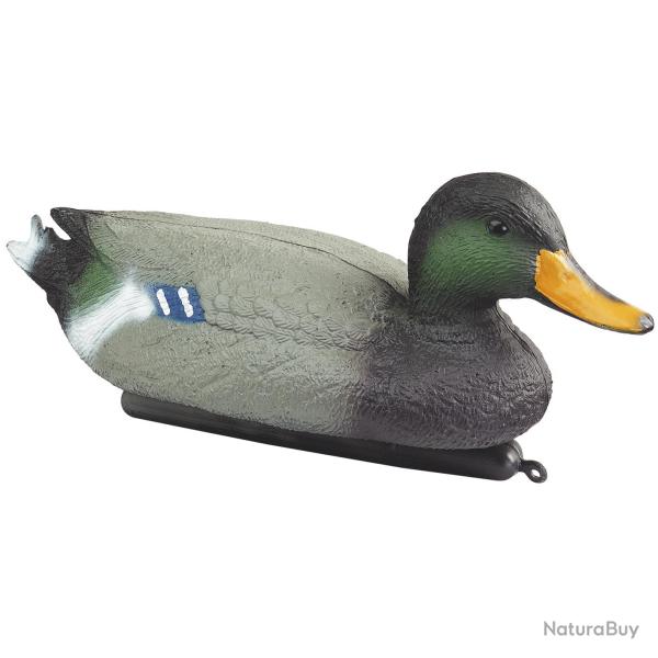 CANARD