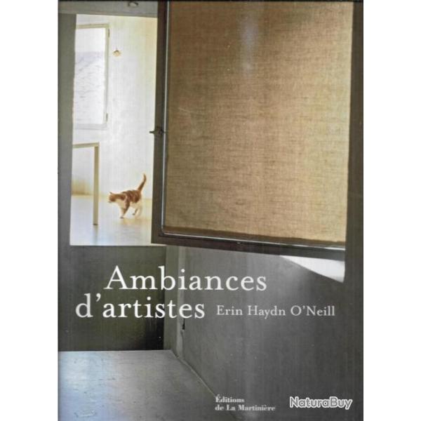 ambiances d'artistes d'erin haydn o'neill