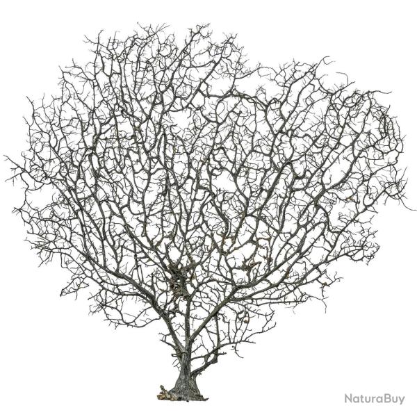 Gorgone ou �ventail de mer d�co - 45 x 42 cm