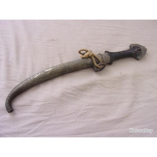 Koummya origine Maroc  40 cm