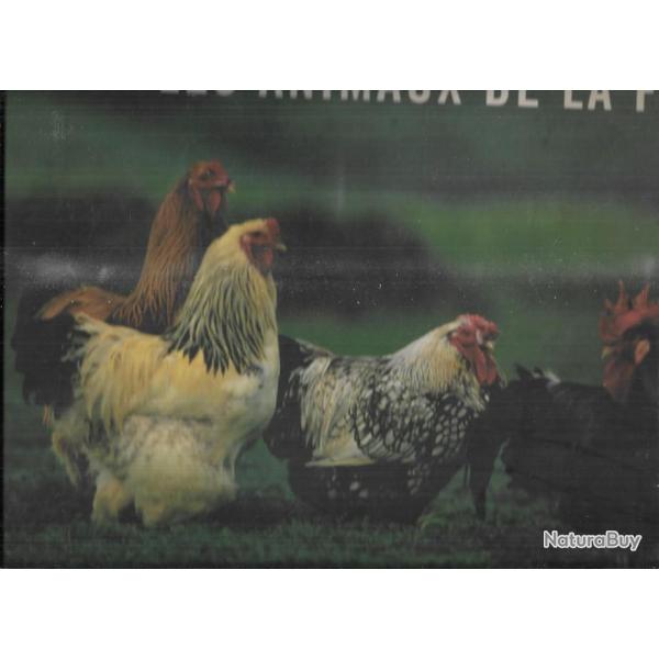 les animaux de la ferme de thierry des ouches et alain raveneau