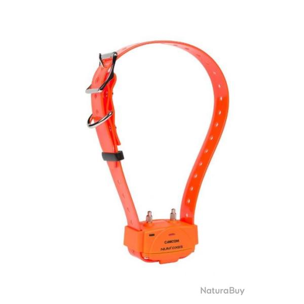 Collier seul Canicom orange sangle orange