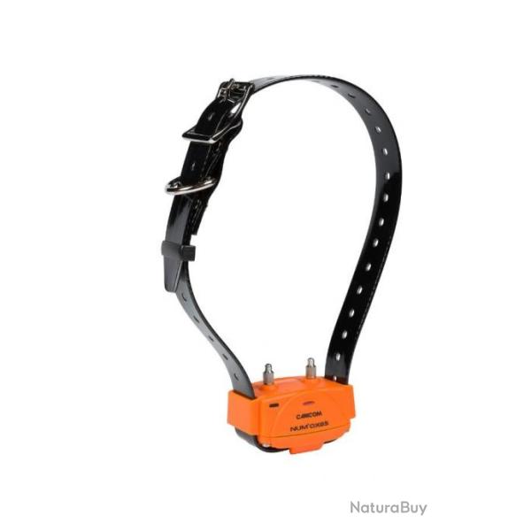 Collier seul Canicom orange sangle noire