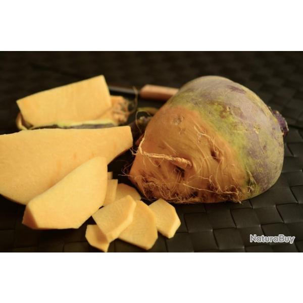Lot de 200 Graines de Chou Navet Rutabaga Jaune A Collet Rouge - Vari�t� Savoureuse et Tendre