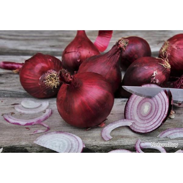 Lot de 250 Graines Oignon Rouge De Brunswick - Varit Populaire - Saveur Gustative Douce et Sucre