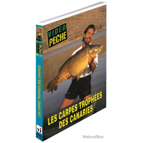 Les carpes troph�es des Canaries - P�che de la carpe - Vid�o P�che