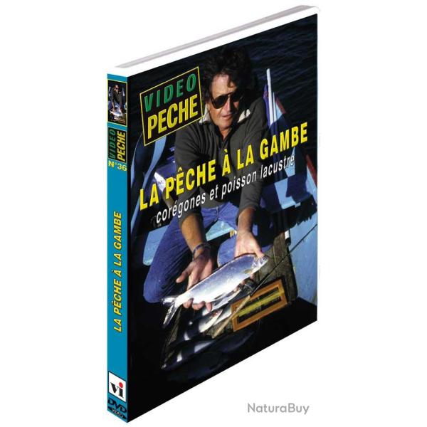 La p�che � la gambe cor�gones et poisson lacustre - P�che des carnassiers - Vid�o P�che