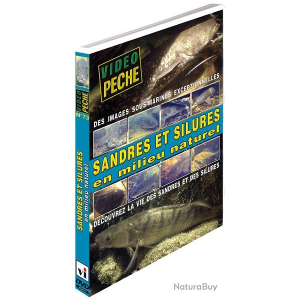 Sandres et silures en milieu naturel D�couvrez la vie des sandres et des silures - P�che des carnass