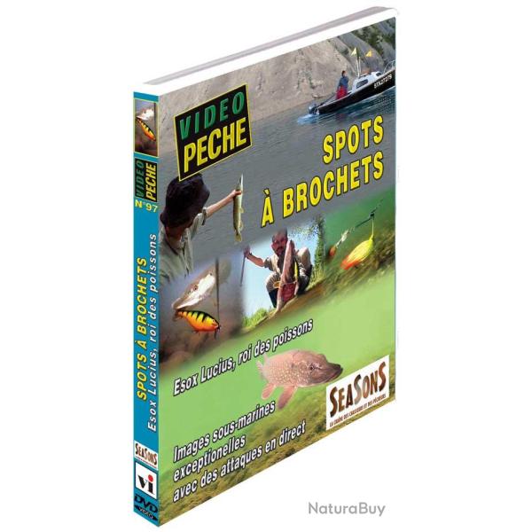 Spots � brochets Esox Lucius, roi des poissons - P�che des carnassiers - Vid�o P�che