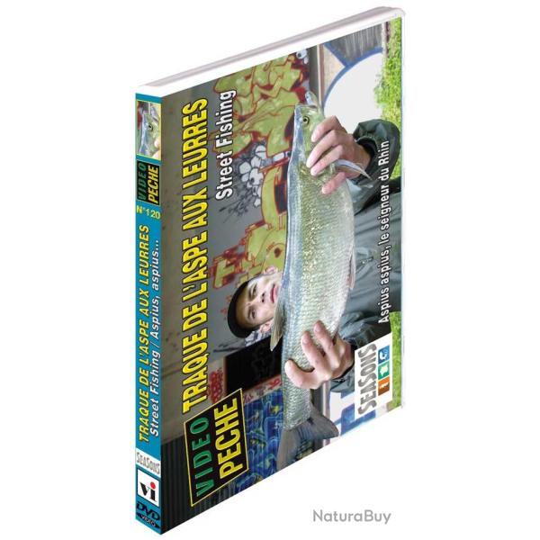 Traques de l'aspe aux leurres : Street fishing Aspius, aspius le seingeur du Rhin - P�che des carnas