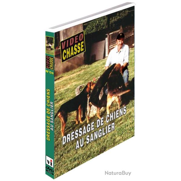 Dressage de chiens au sanglier - Chiens de chasse - Vid�o Chasse