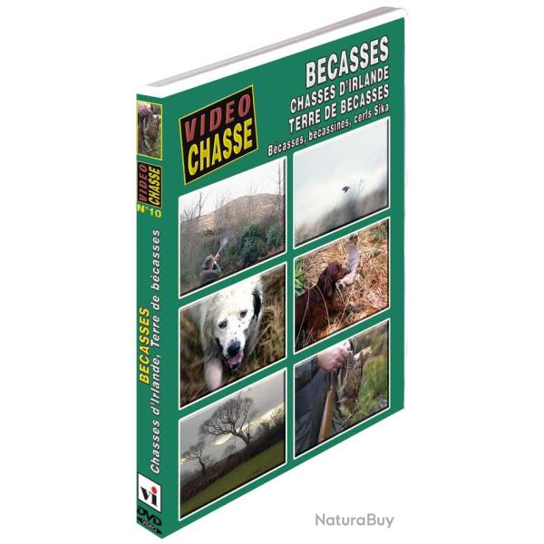 B�casse : Chasses d'Irlande, terre de b�casses - Chasse du petit gibier - Vid�o Chasse