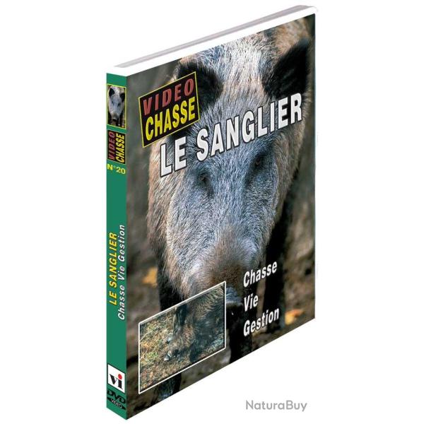 Le sanglier : chasse, vie, gestion - Chasse du grand gibier - Vid�o Chasse
