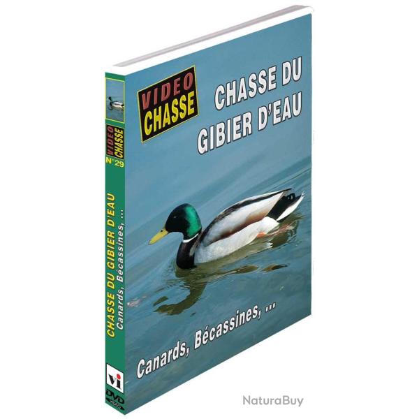 Chasse du gibier d'eau : Canard, B�cassines... - Chasse du petit gibier - Vid�o Chasse