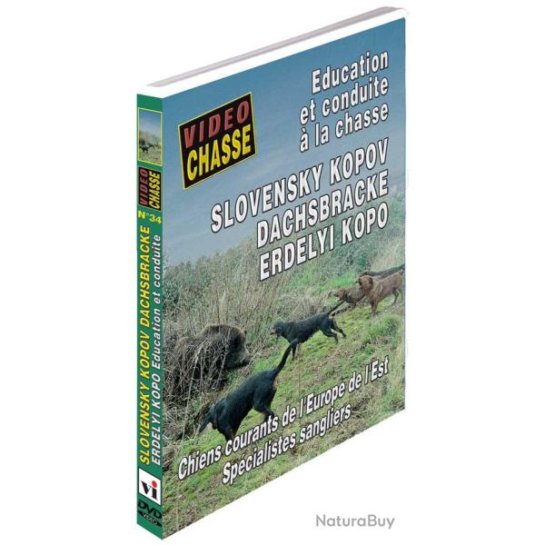 Slovensky kopov dachsbracke erdelyi kopo - Chiens de chasse - Vid�o Chasse