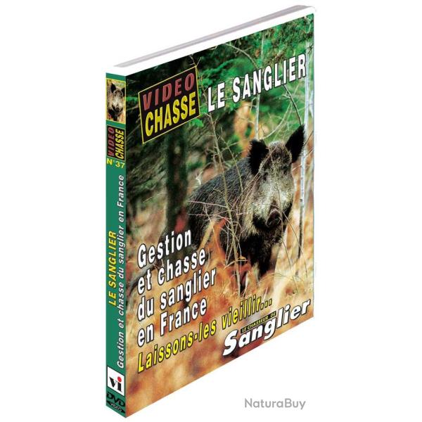 Le sanglier : gestion et chasse du sanglier en France - Chasse du grand gibier - Vid�o Chasse