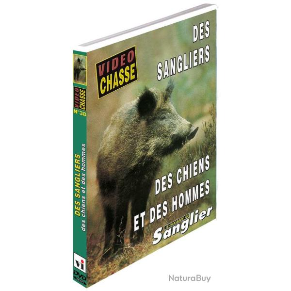 Des sangliers, des chiens, des hommes - Chasse du grand gibier - Vid�o Chasse