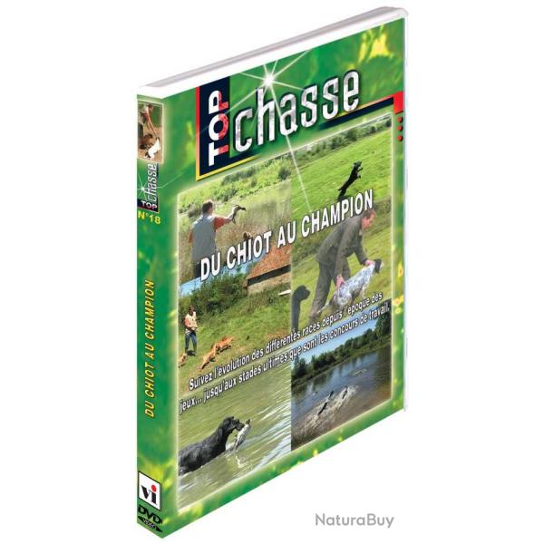 Du chiot au champion - Chiens de chasse - Top Chasse