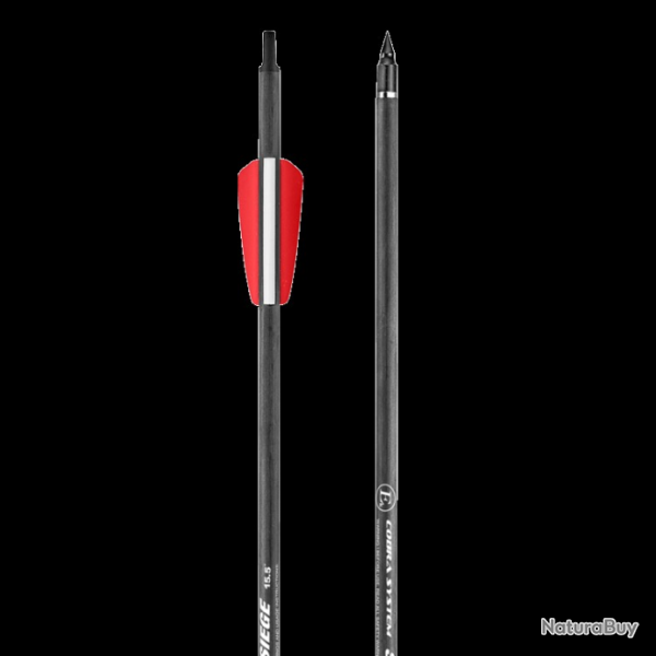 traits Siege 300 en carbone