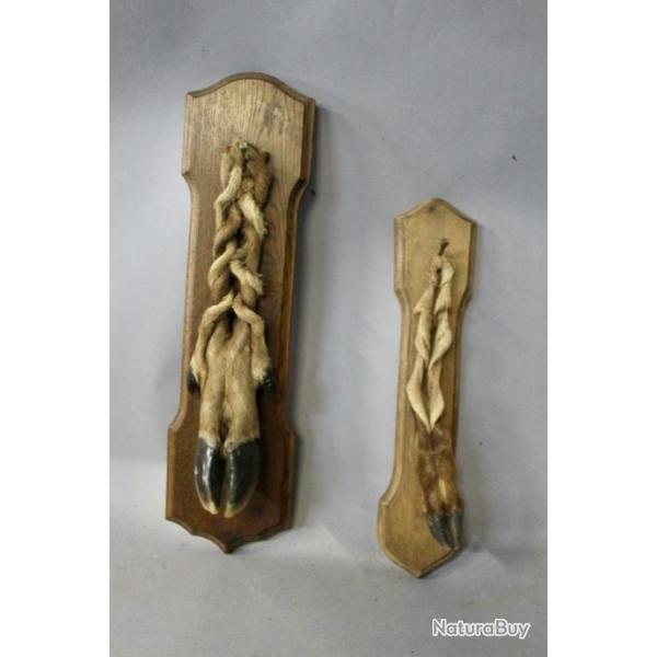 Deux pattes de chevreuils sur support bois
