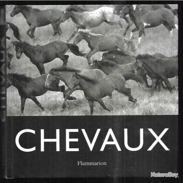 chevaux de j-c.suar�s